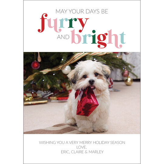 Furry and Bright Flat Holiday Photo Cards